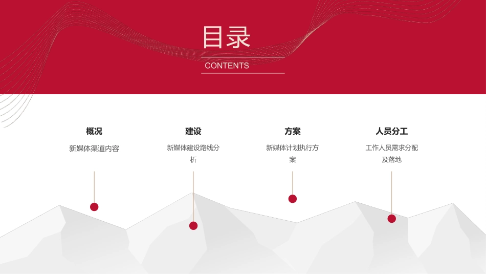 整形美容医院新媒体执行方案_第2页