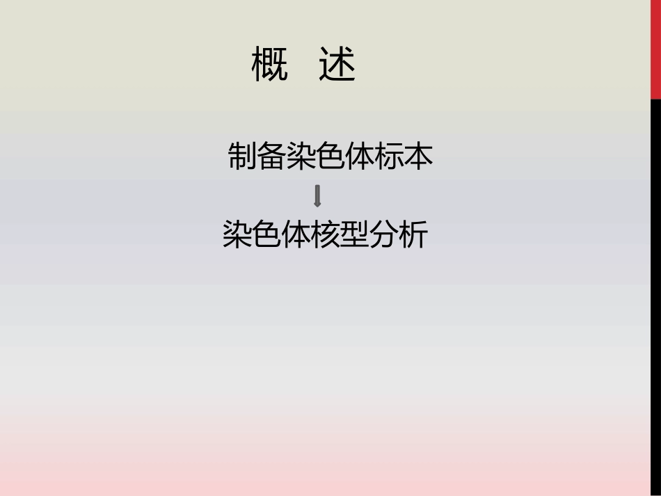 正常人体细胞染色体核型分析_第3页
