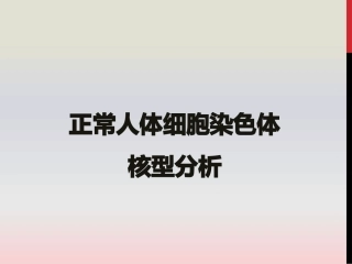 正常人体细胞染色体核型分析