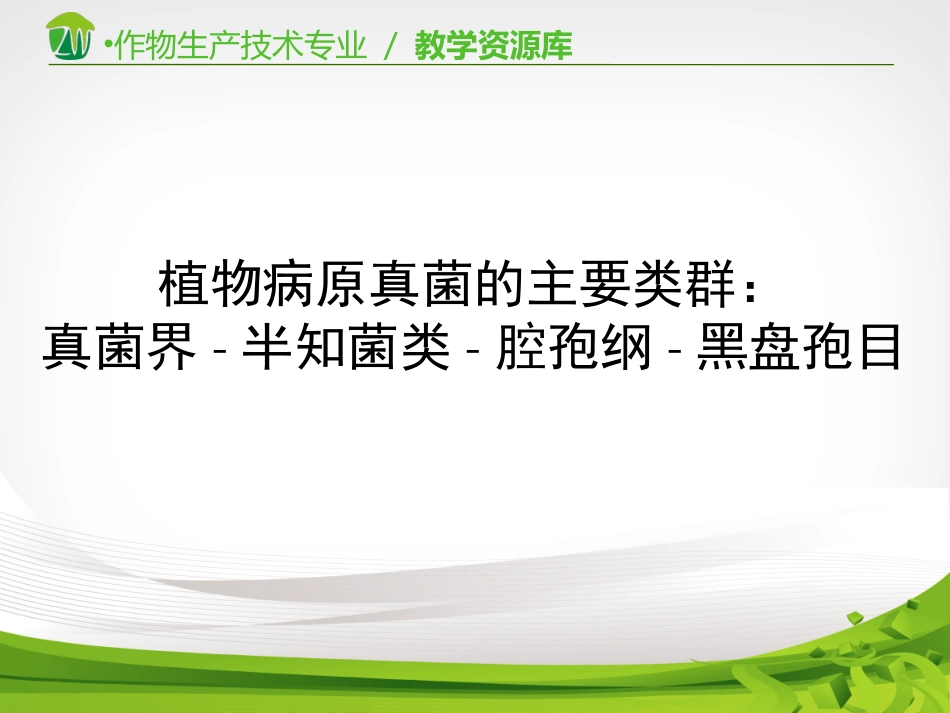 植物病原真菌的主要类群真菌界半知菌类腔孢纲黑盘孢目_第2页