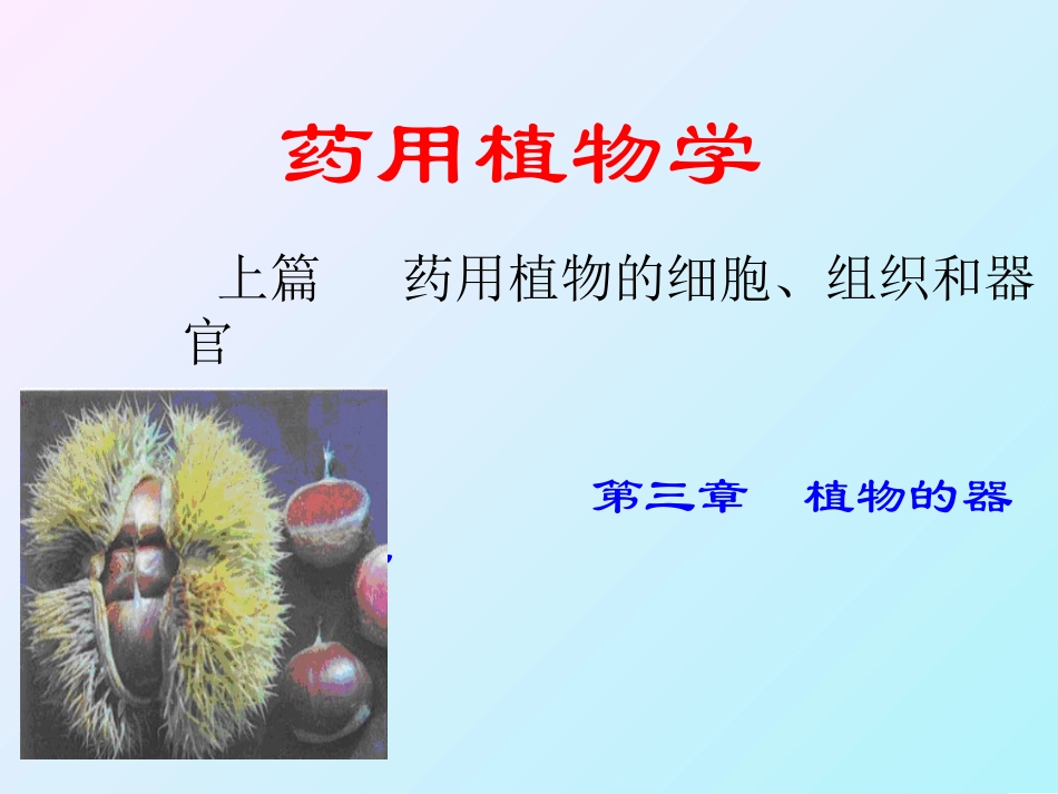 植物的器官种子概述_第1页