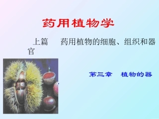 植物的器官种子概述