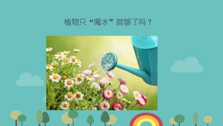 植物生长需要什么_第2页
