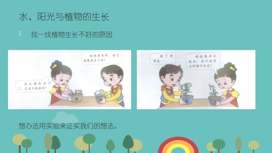 植物生长需要什么_第3页