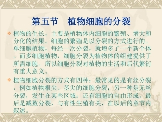 植物细胞的分裂概述