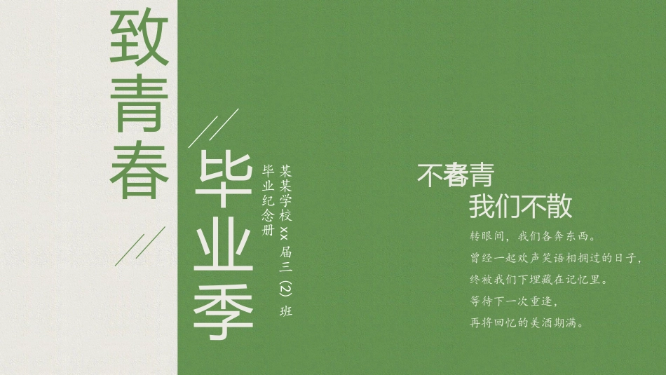 致青春毕业纪念册同学会相册_第1页