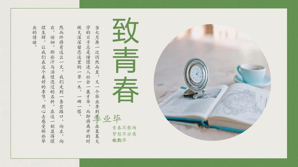 致青春毕业纪念册同学会相册_第2页