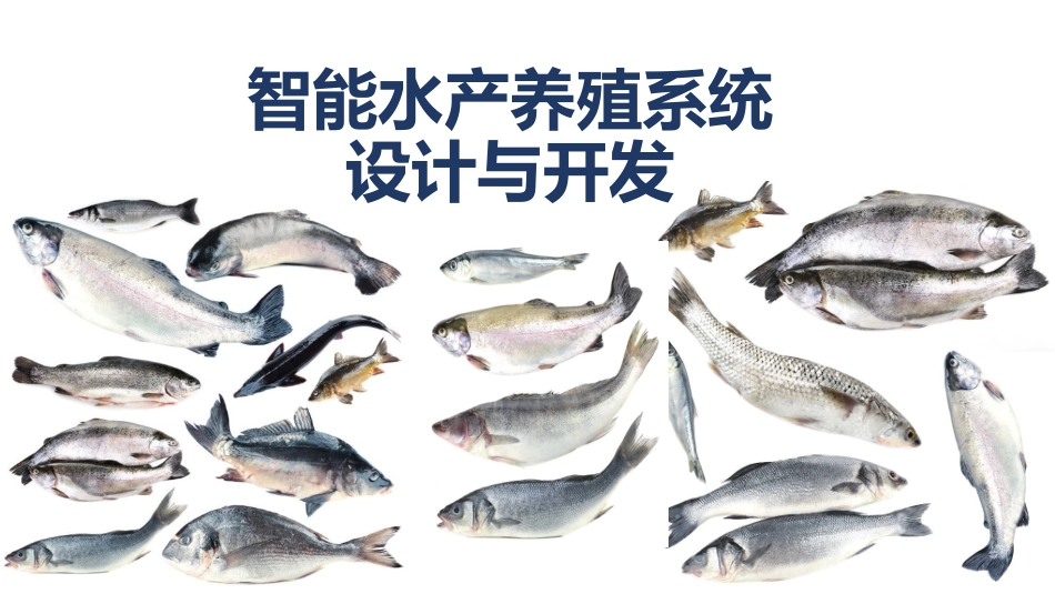 智能水产养殖系统_第1页