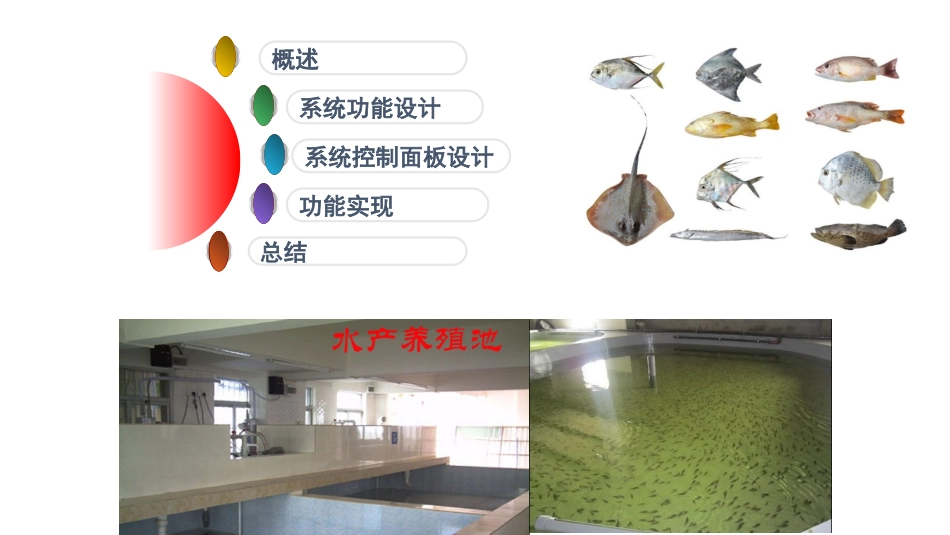 智能水产养殖系统_第2页