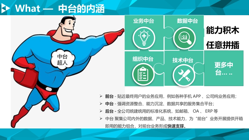 中台大揭秘ZF_第3页