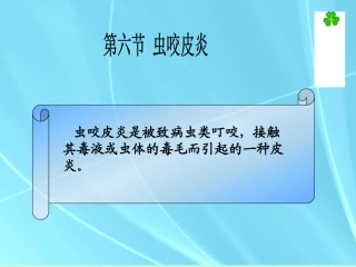 中医外科学虫咬皮炎
