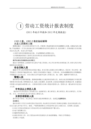劳动工资统计报表制度2011(新)