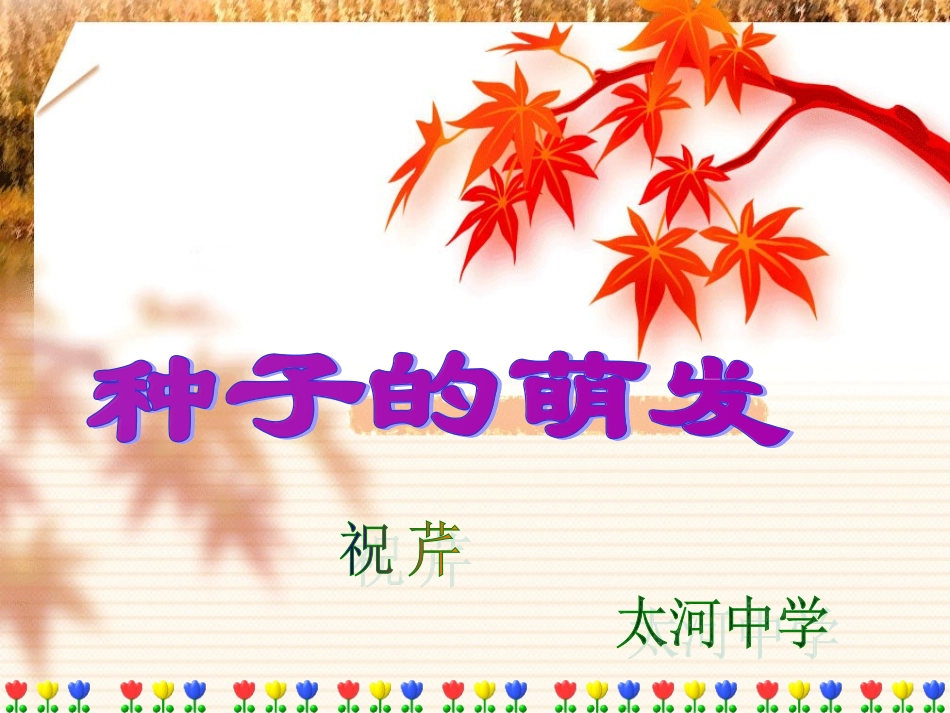 种子萌发的自身条件_第1页