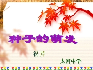 种子萌发的自身条件