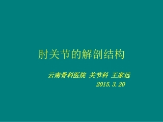 肘关节解剖结构