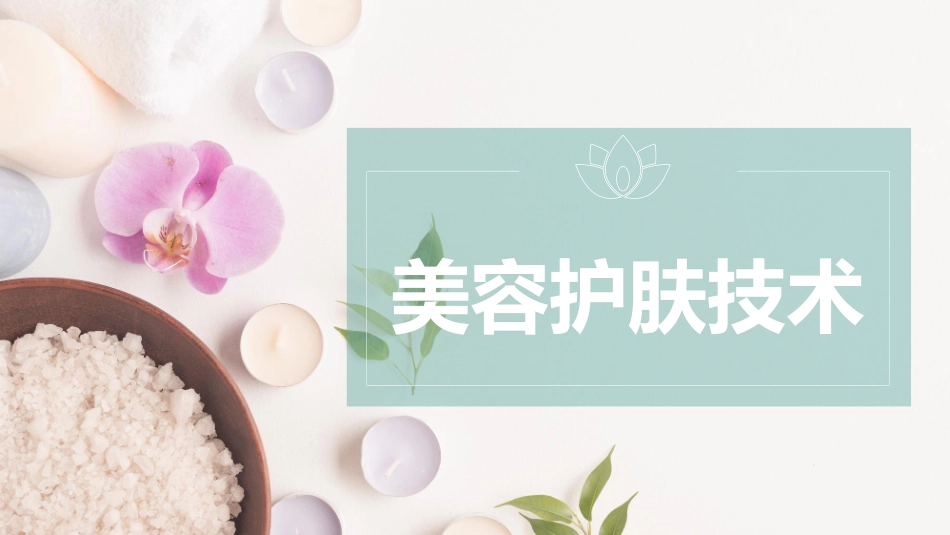 皱纹的类型及解剖学基础_第1页