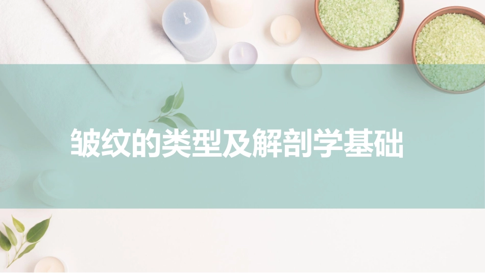 皱纹的类型及解剖学基础_第2页