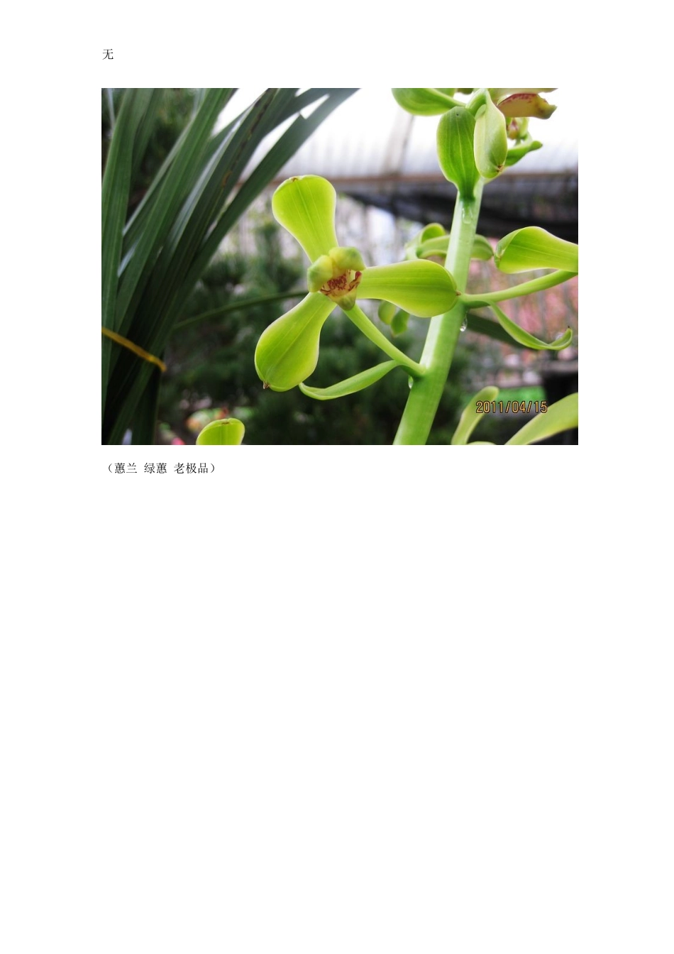 兰花瓣型经典分类_第2页