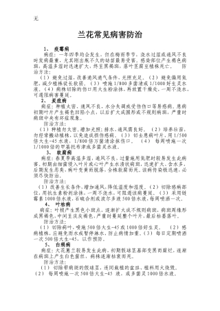 兰花常见病害防治