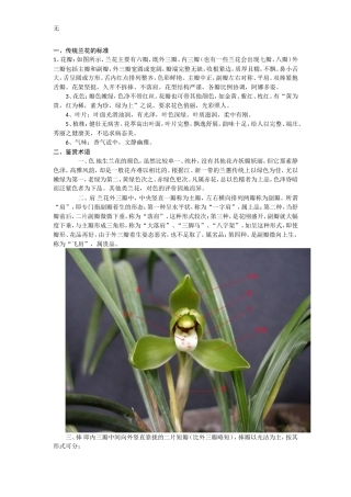 兰花鉴赏术语及入门知识