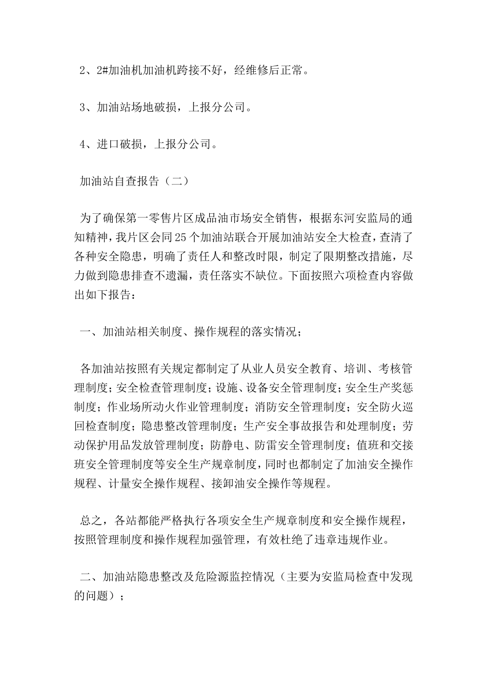 加油站自查报告_第2页