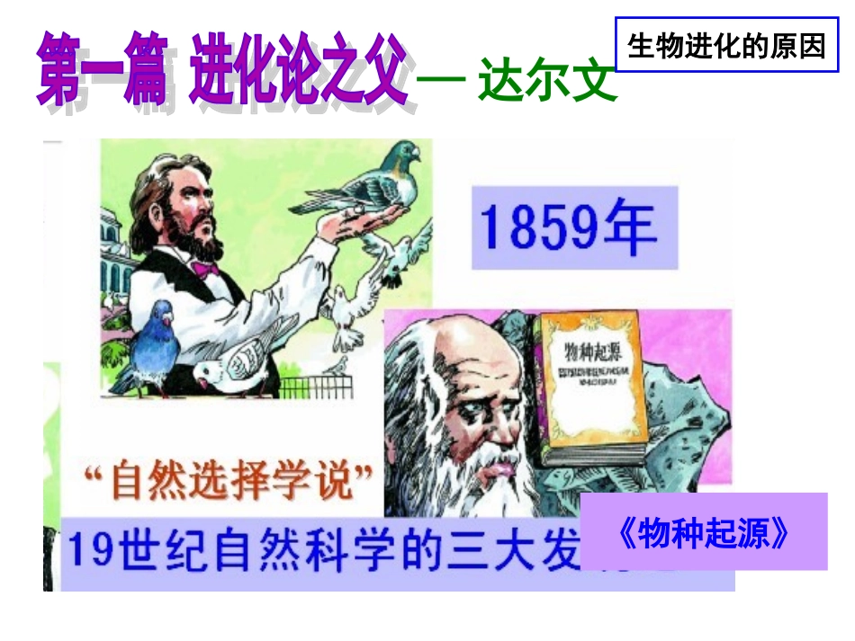 自然选择和人工选择_第2页