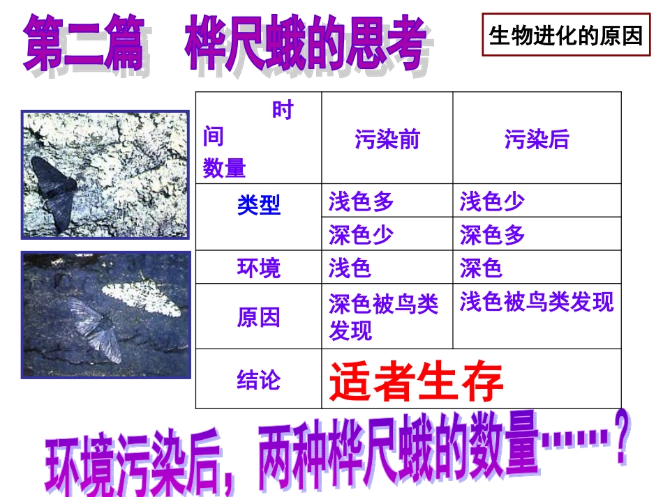 自然选择和人工选择_第3页