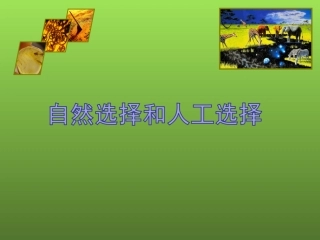 自然选择和人工选择