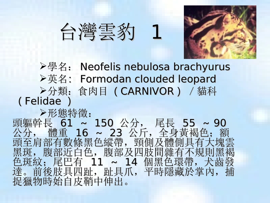 自然研究报告_第2页