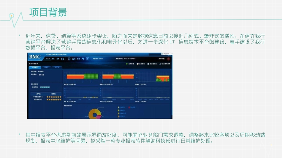自助BI项目实施可行性分析报告_第2页