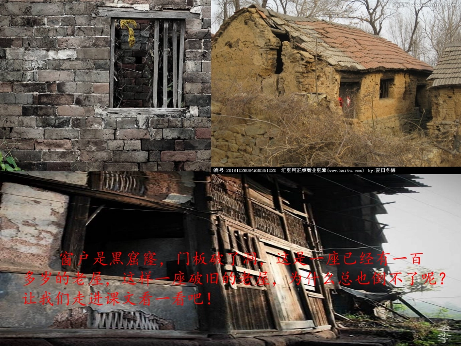 总也倒不了的老屋_第1页