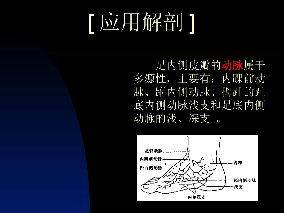 足内侧皮瓣幻灯片_第2页