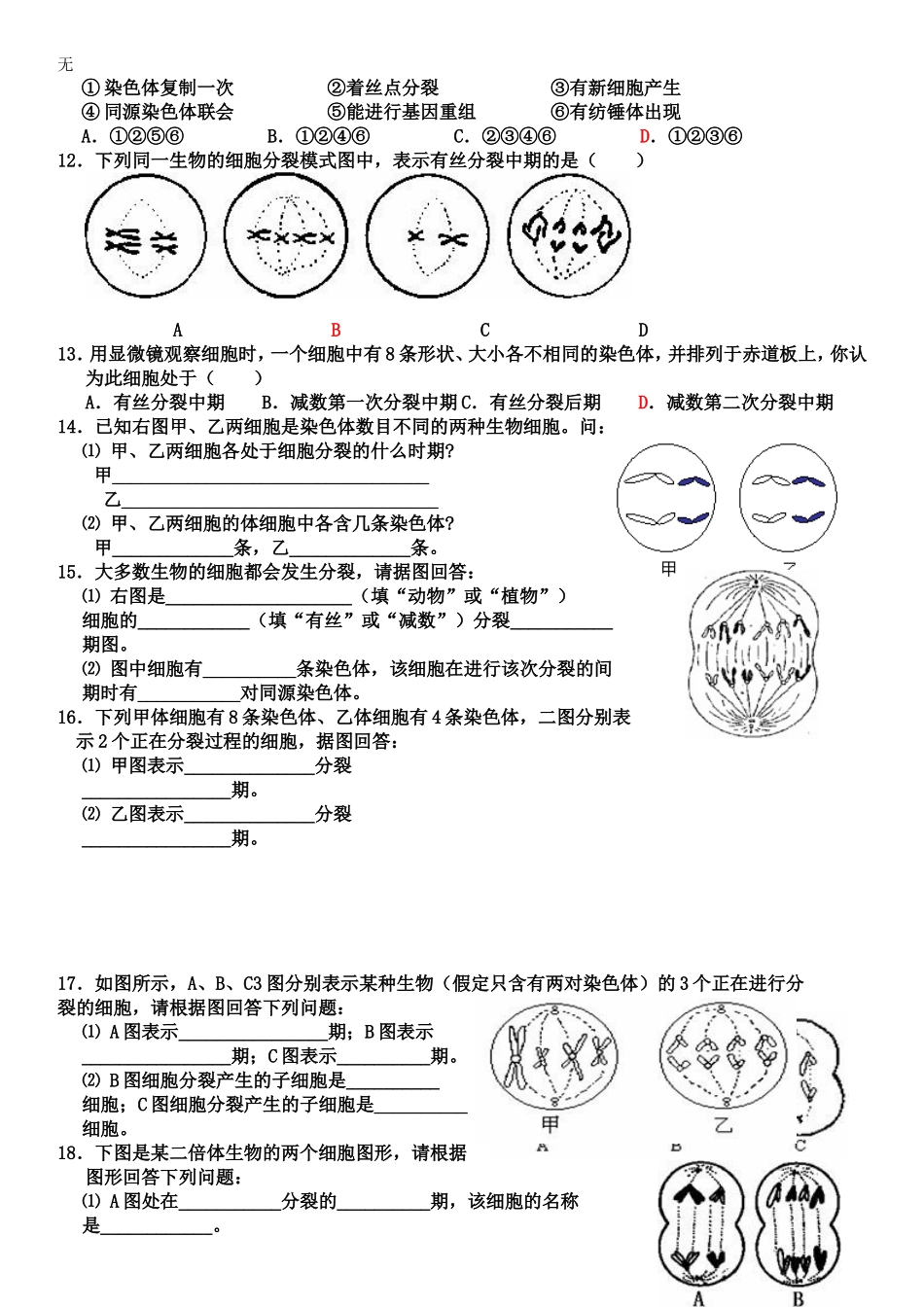 减数分裂和有丝分裂试题(含答案)_第2页