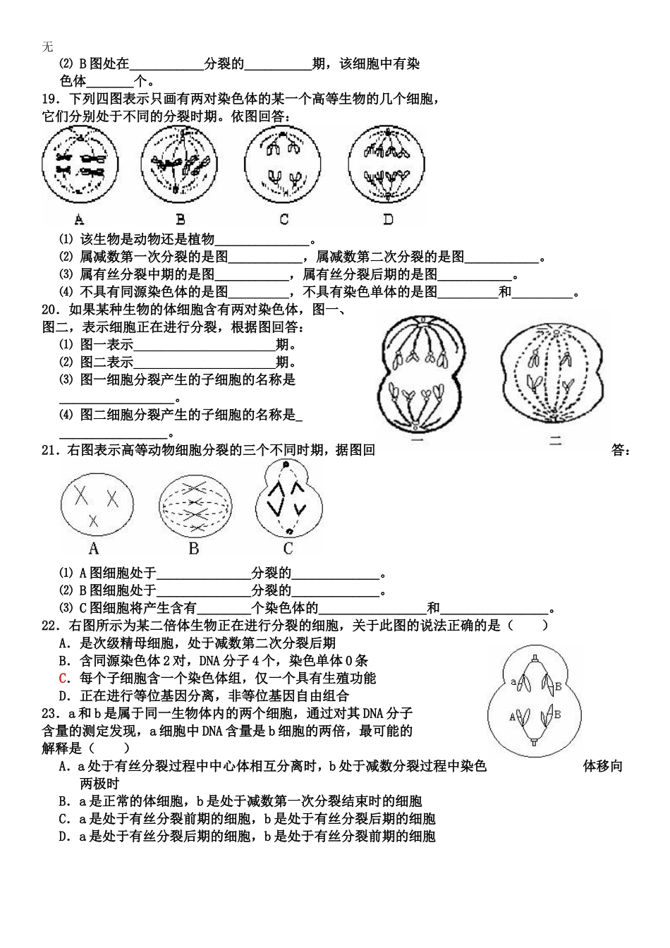 减数分裂和有丝分裂试题(含答案)_第3页