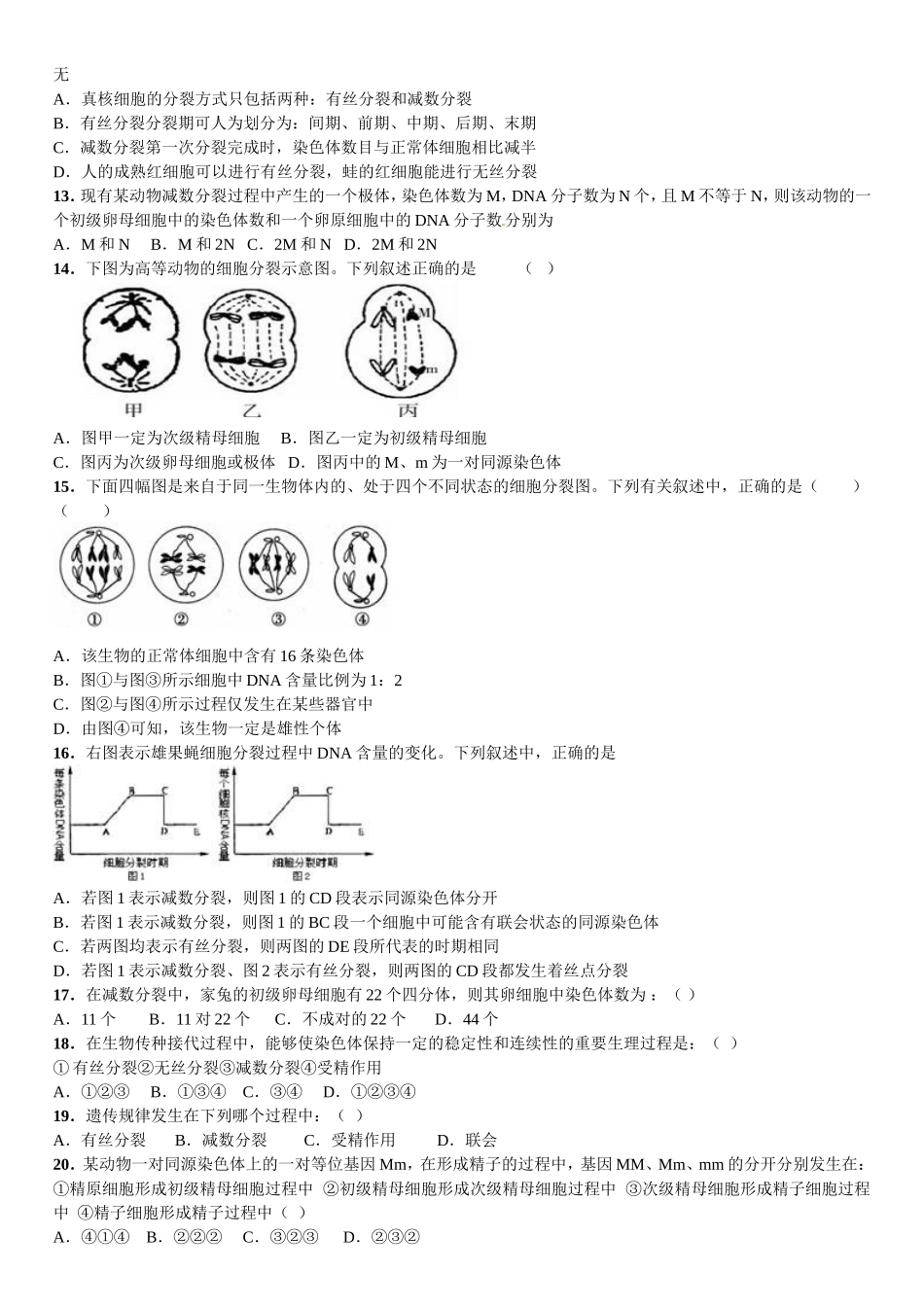 减数分裂经典习题_第2页