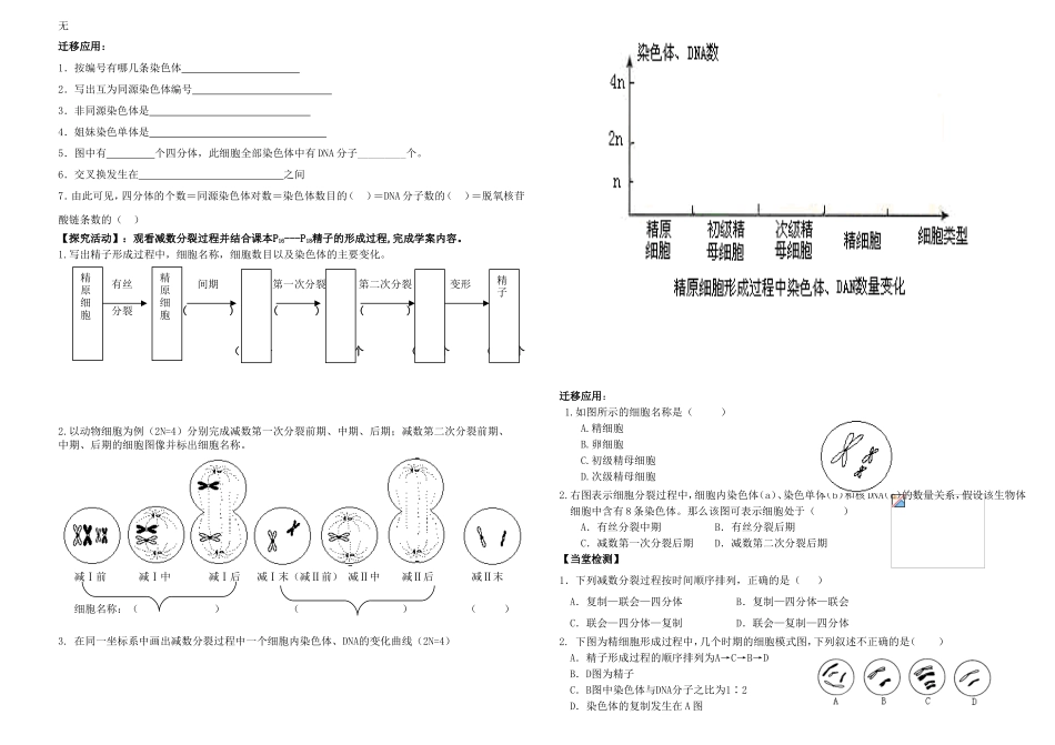 减数分裂学案_第2页