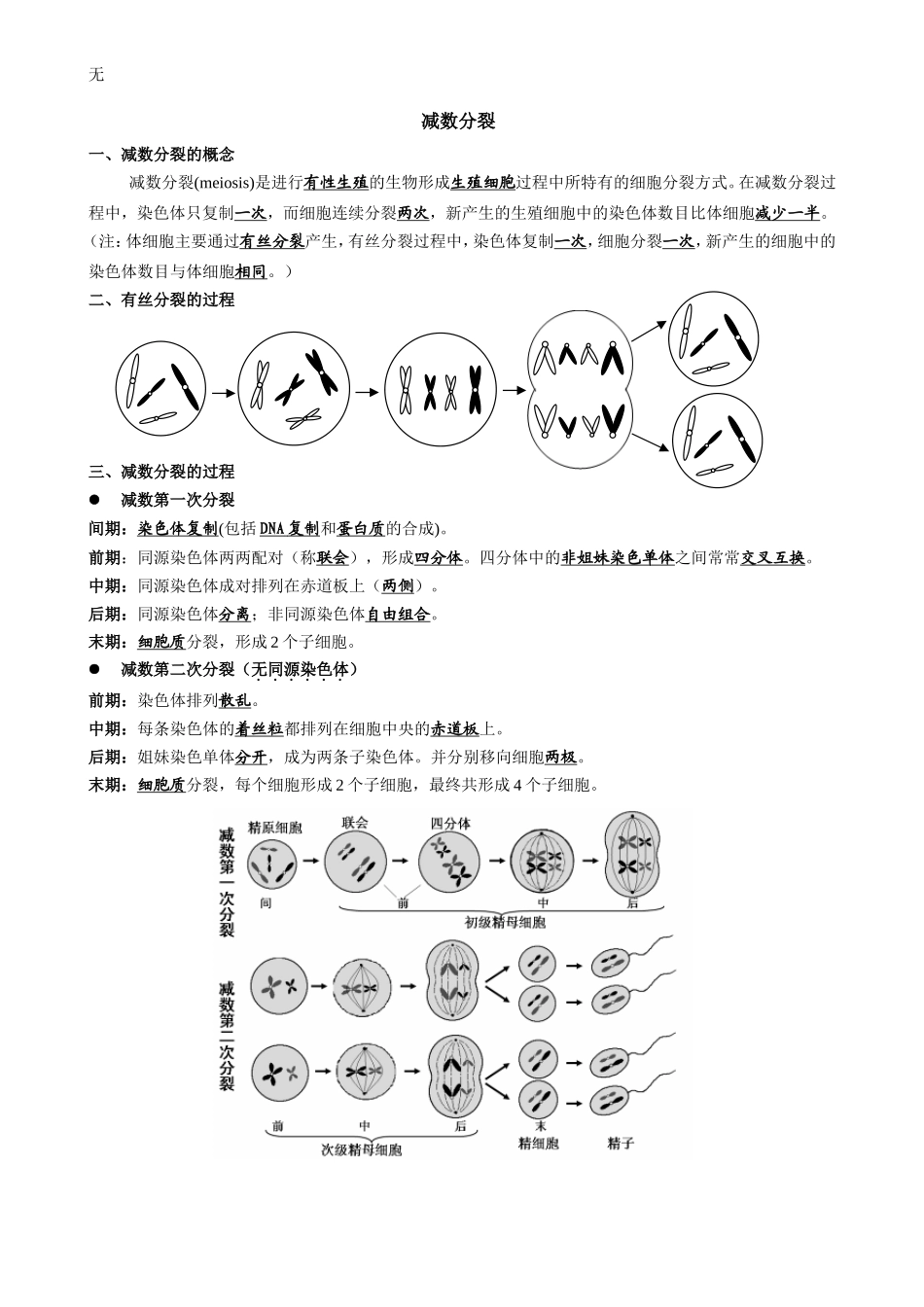 减数分裂知识点归纳及试题_第1页