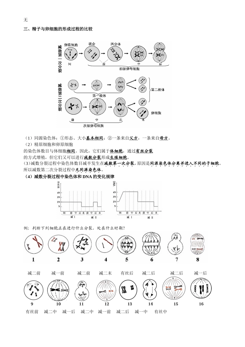 减数分裂知识点归纳及试题_第2页