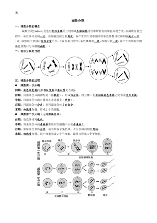 减数分裂知识点归纳及试题
