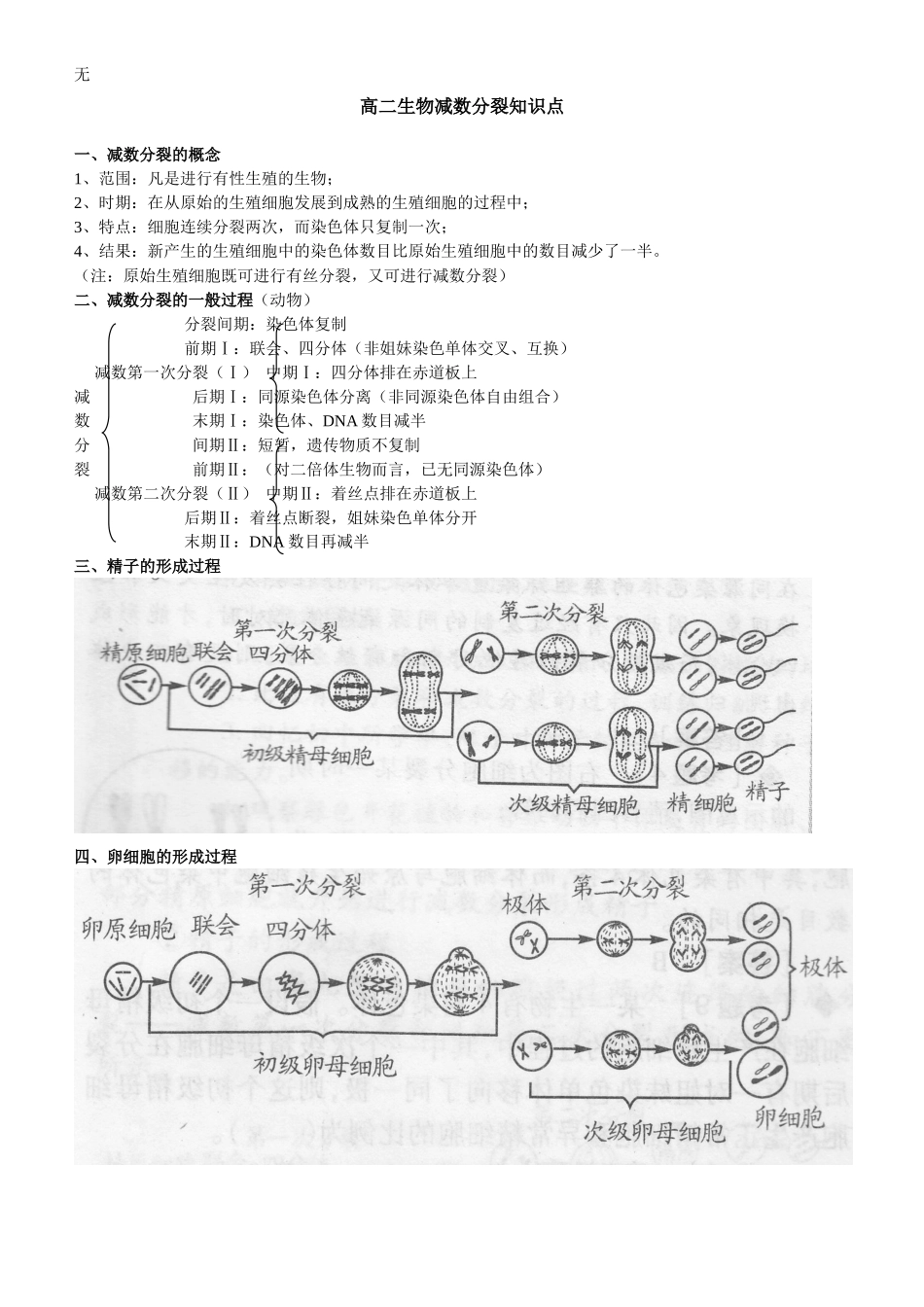 减数分裂知识点总结_第1页