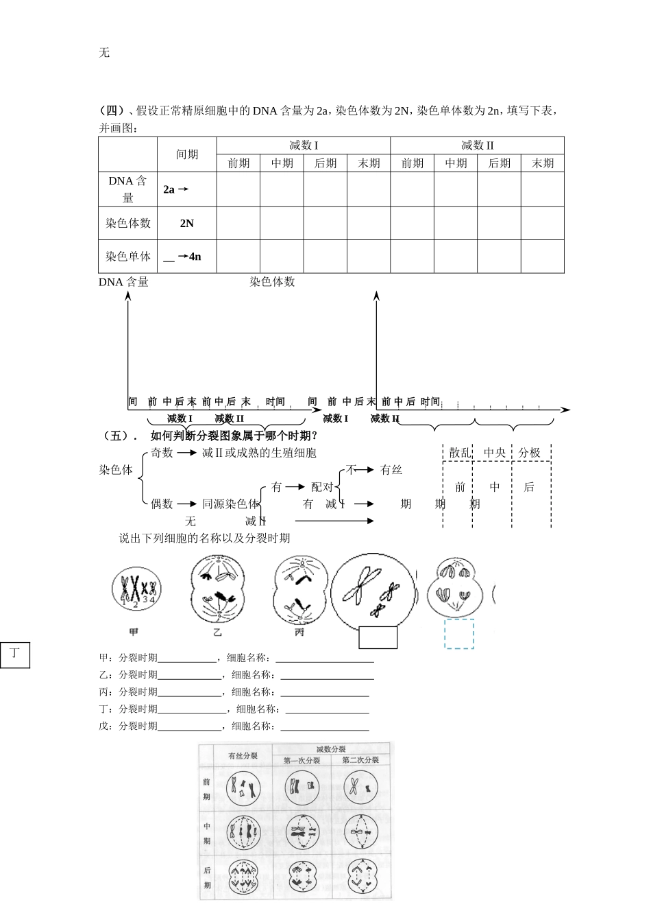 减数分裂专题复习学案(史上最好)_第2页