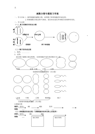 减数分裂专题复习学案(史上最好)