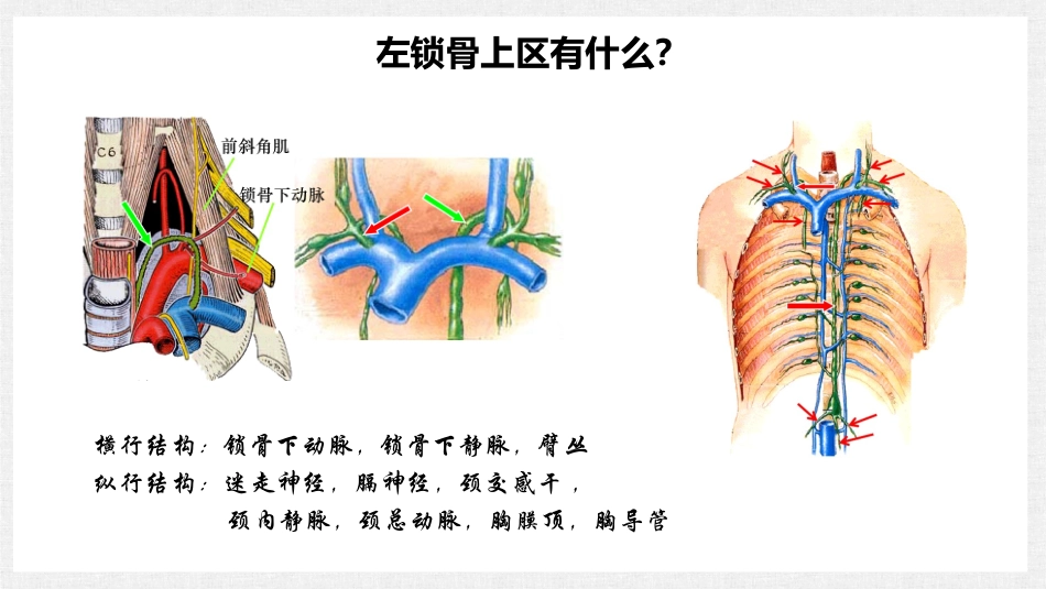 左锁骨上区淋巴结肿大的含义及意义_第3页