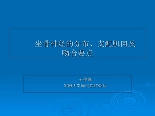 坐骨神经分布支配肌肉及神经吻合要点
