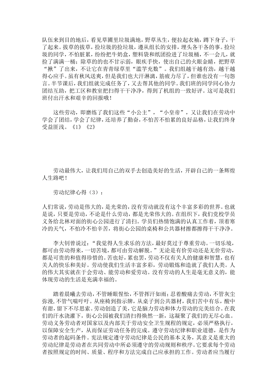 劳动纪律心得-心得体会模板_第2页