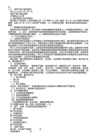 净资产审计报告格式
