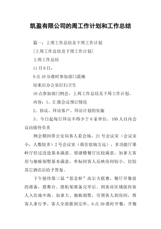 凯盈有限公司的周工作计划和工作总结