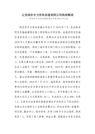 劳务派遣公司党支部工作汇报