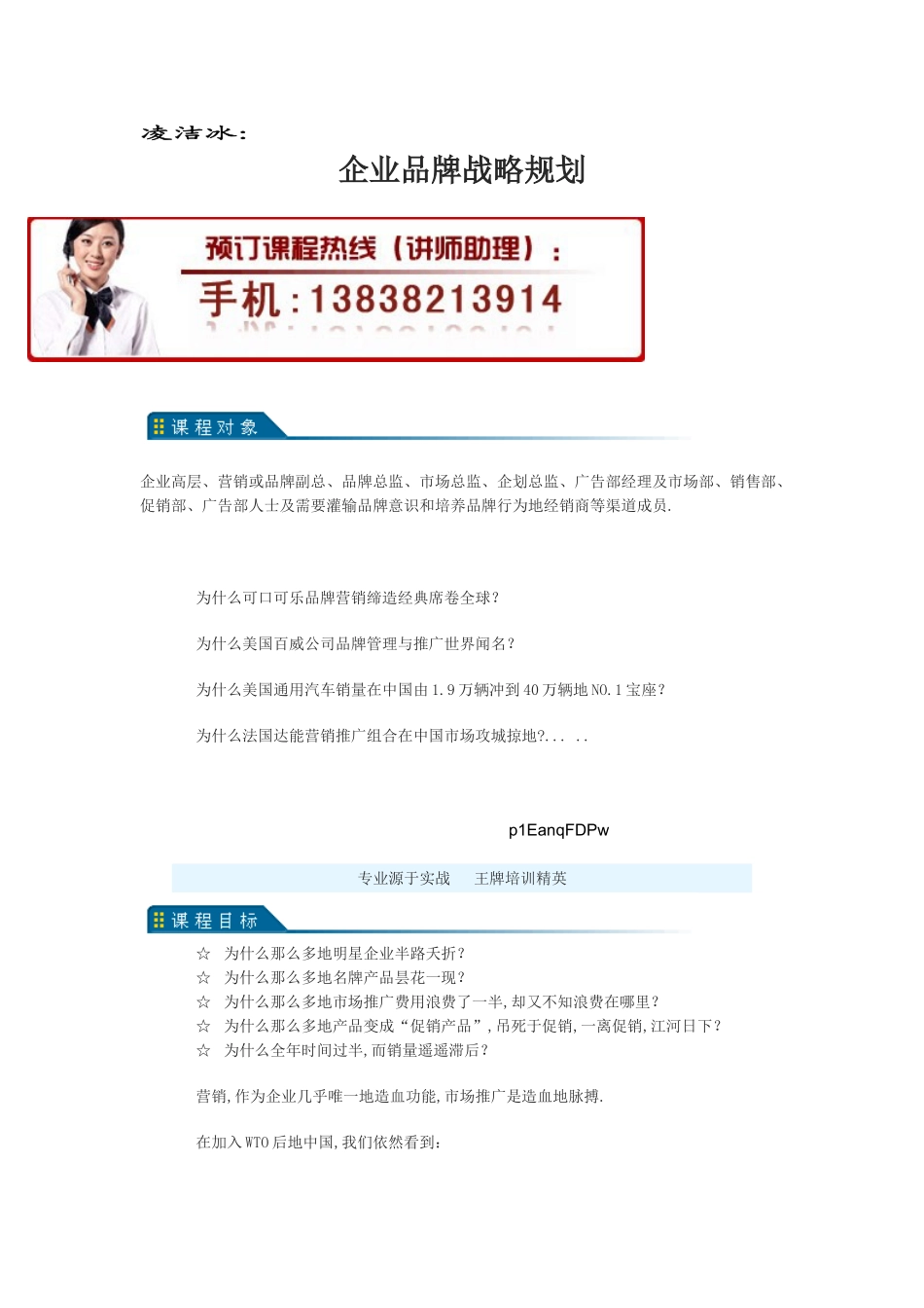 凌洁冰：企业品牌策划管理与推广培训_第1页