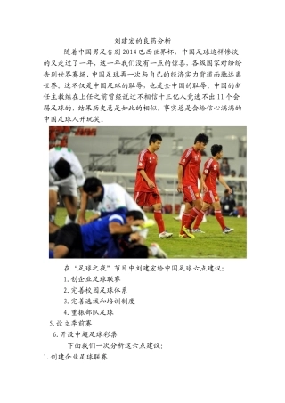 刘建宏的良药分析